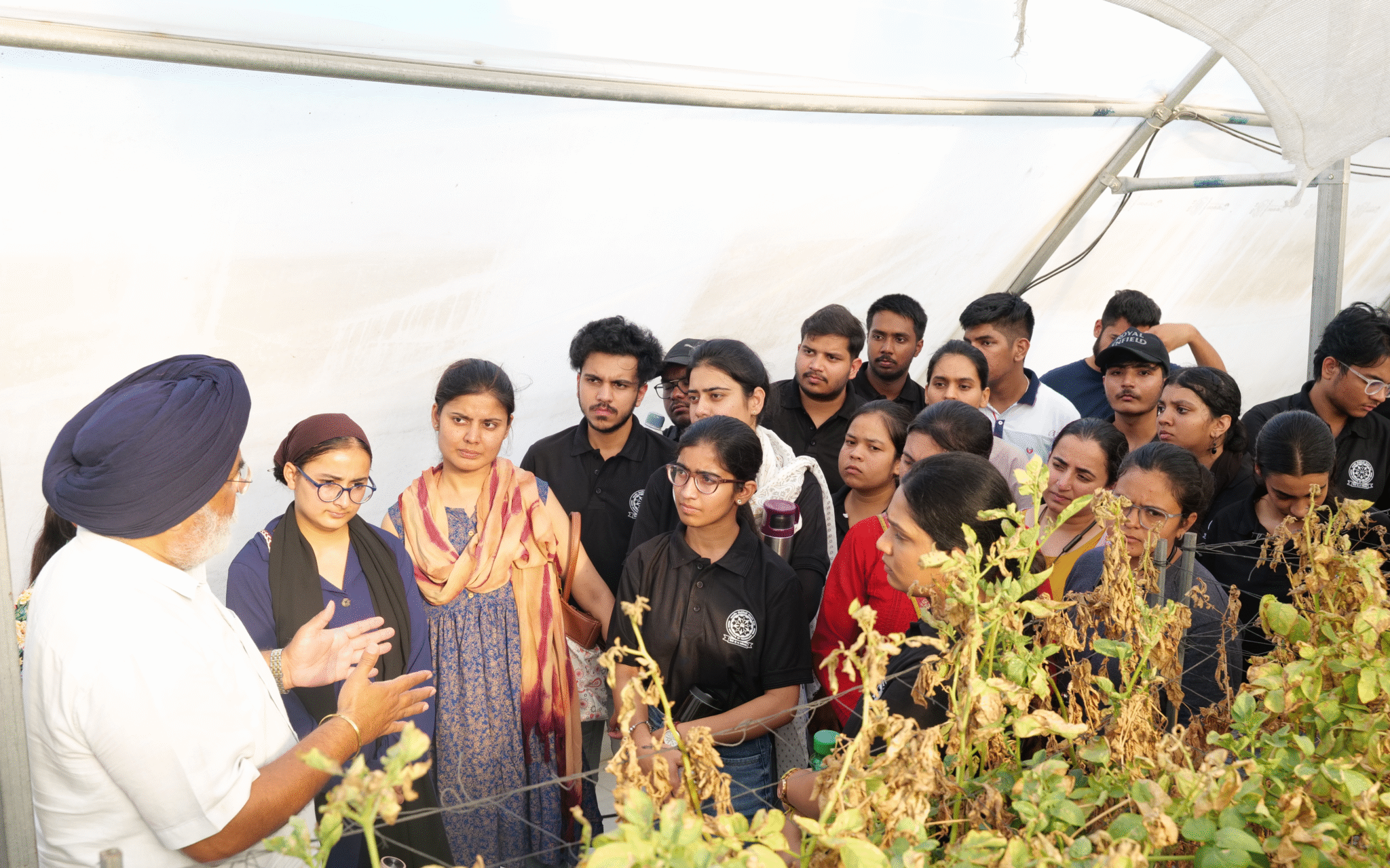 AI 4 AGRITECH - IIT Ropar TIF (AWaDH)