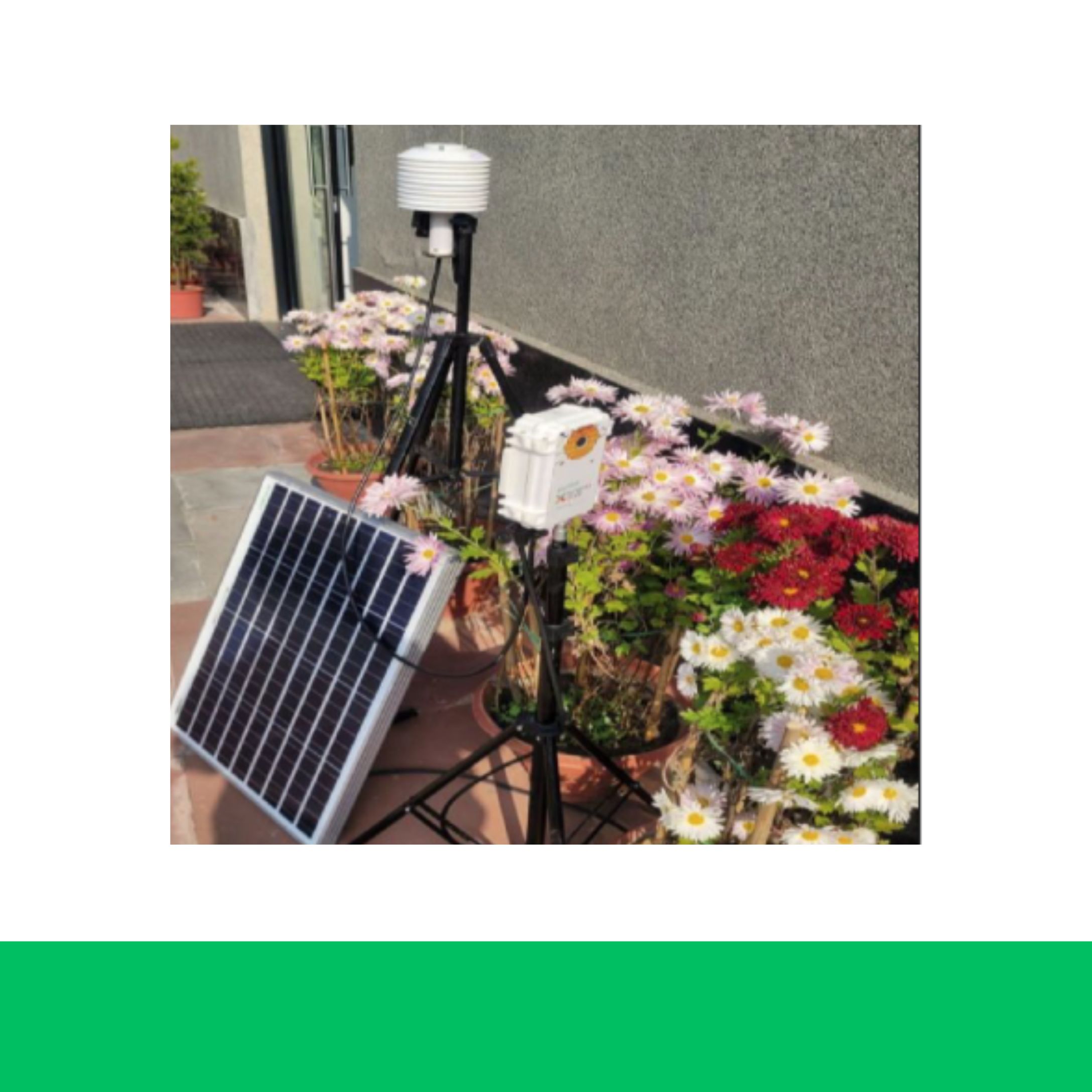 Digital Entomologist